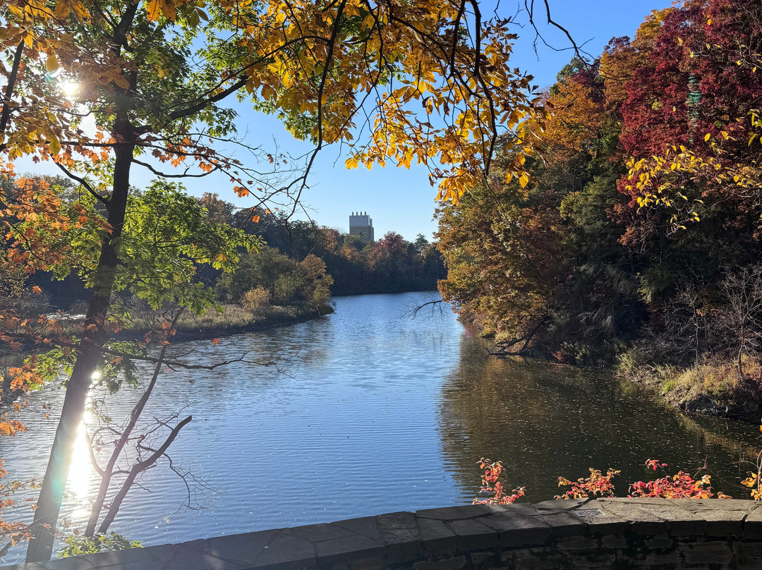 Cornell Botanic Gardens-伊萨卡必去景点