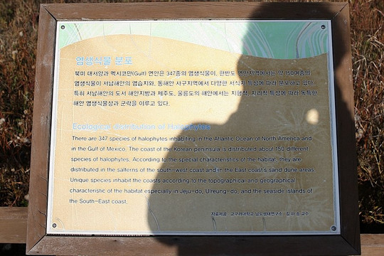 Taepyeong Yeomsaeng Botanical Garden