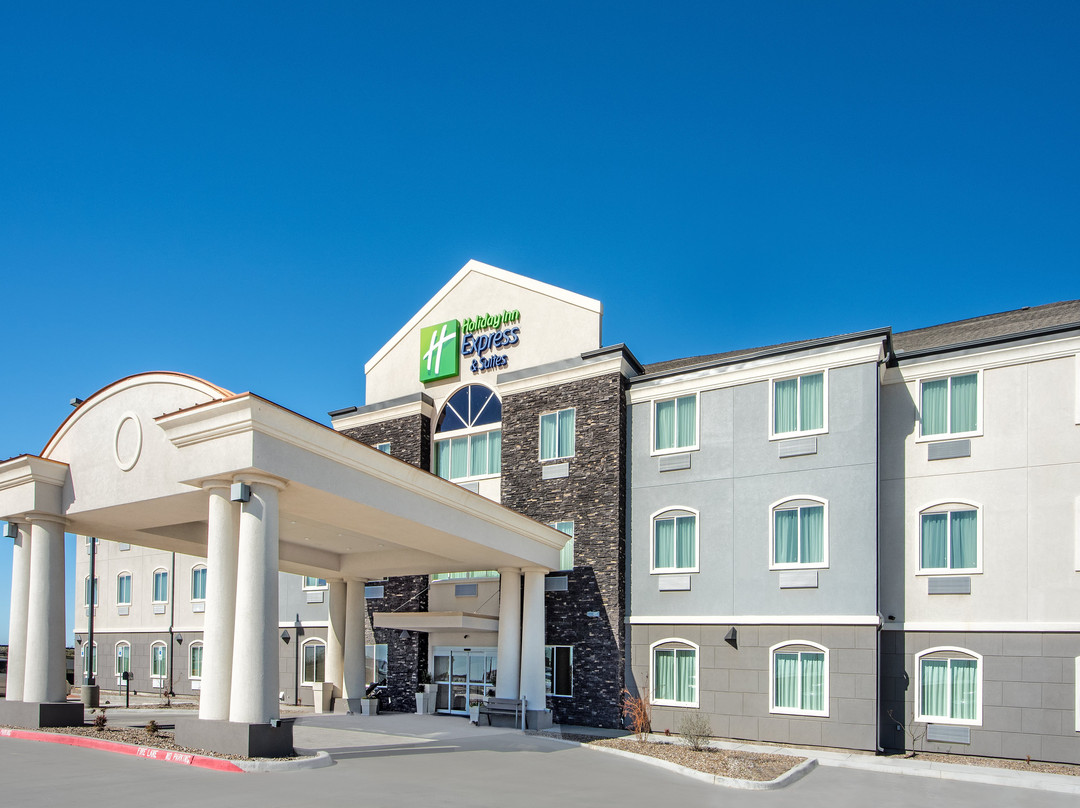 Holiday Inn Express & Suites Monahans I-20 By IHG主图