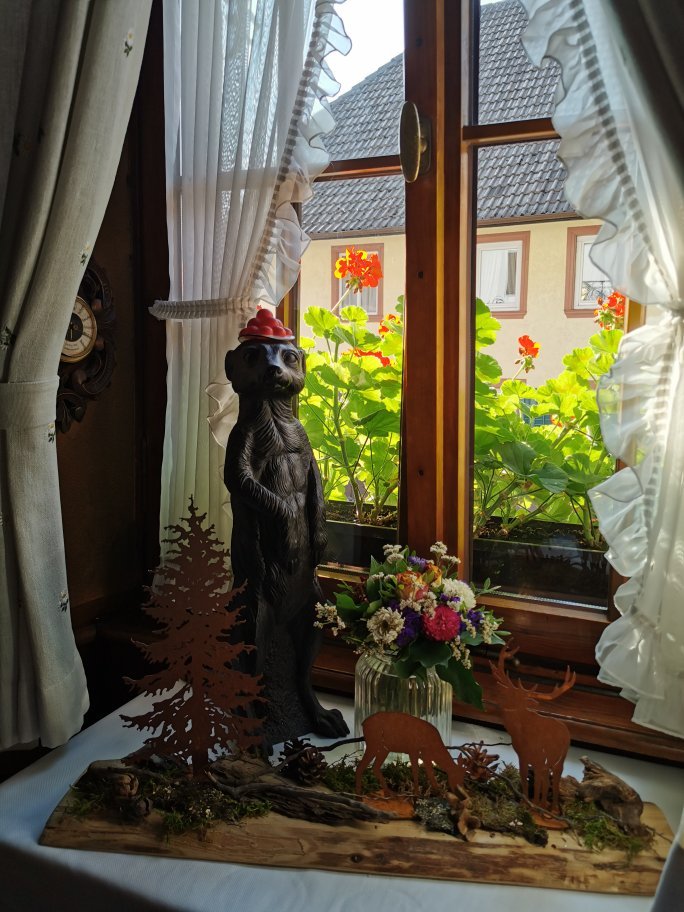 Schaecks Adler-官方