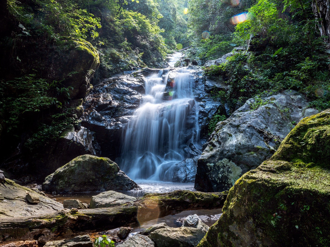 顺昌县旅游攻略图片