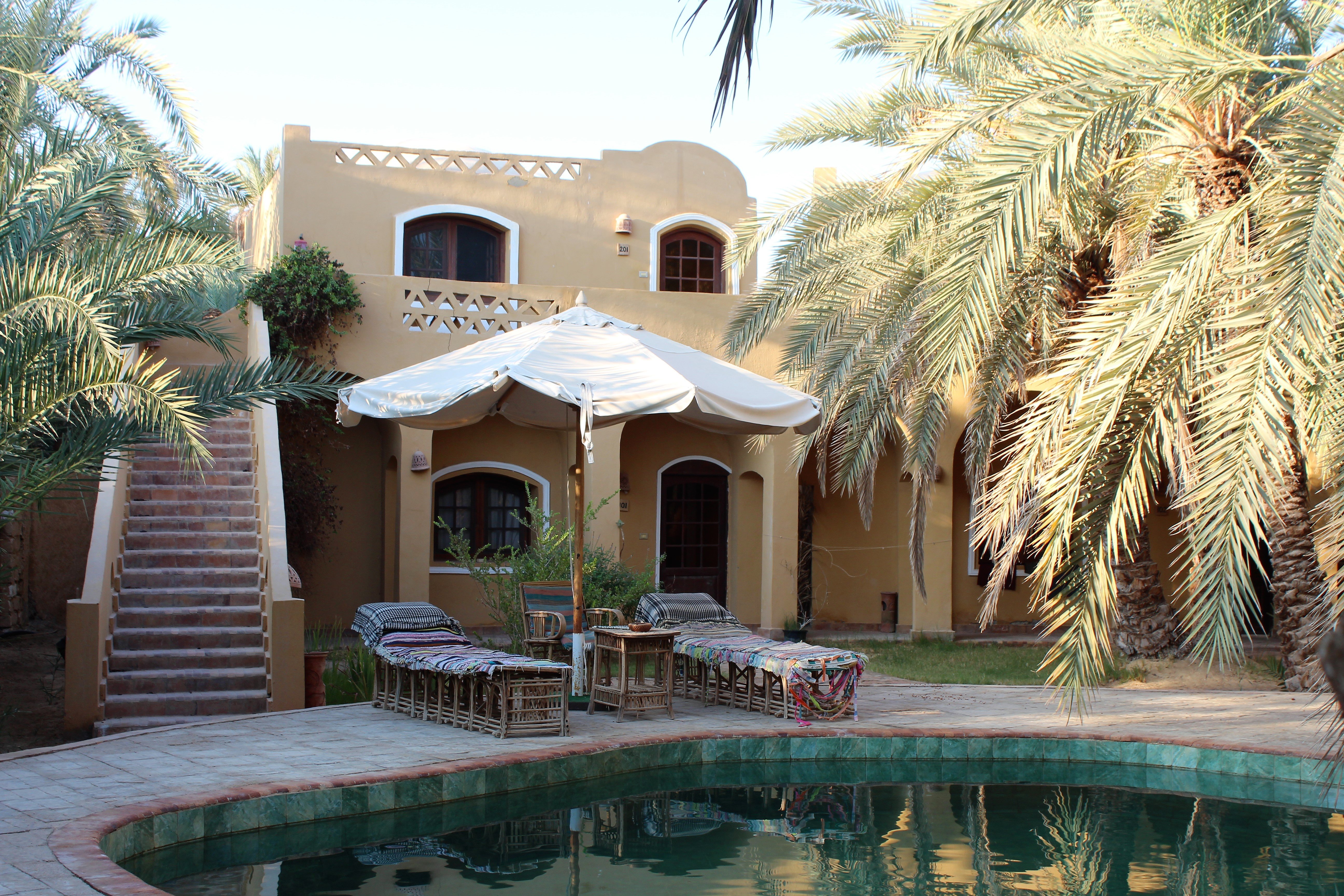 Siwa Safari Gardens Hotel-泳池