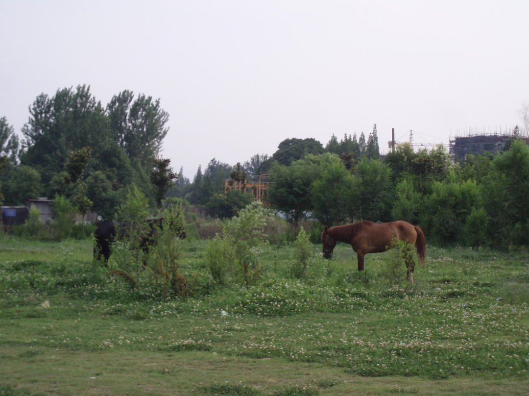 兴元湖公园-汉中市必去景点