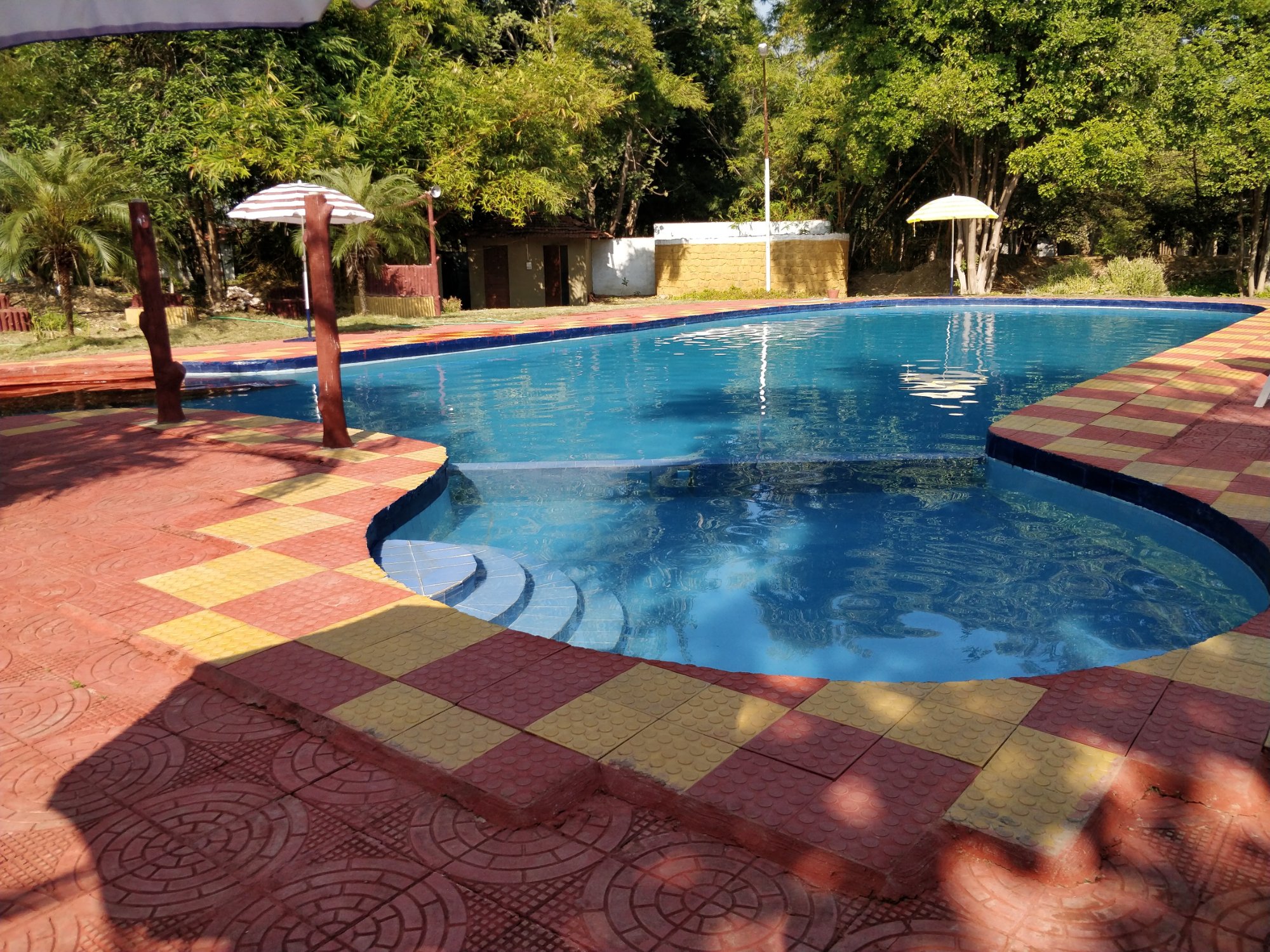 Jungle King Resort-官方