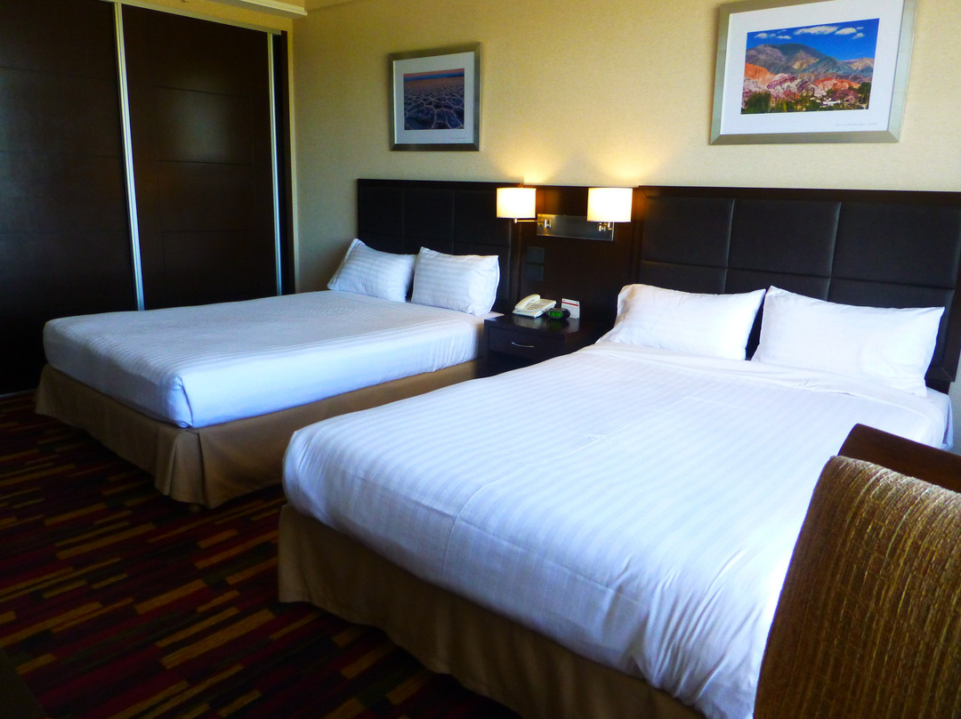 布宜诺斯艾利斯埃塞萨机场假日酒店主图