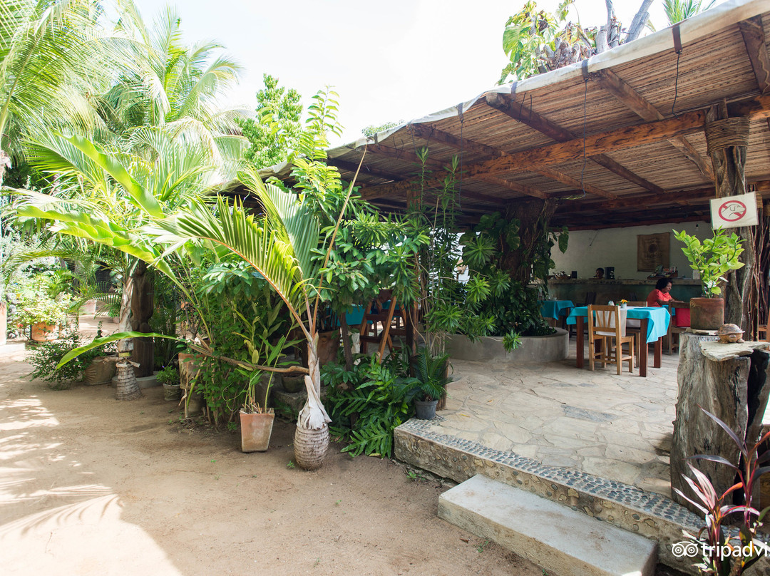 Villa Mozart y Macondo