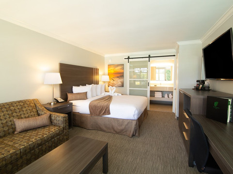 棕榈树花园酒店主图