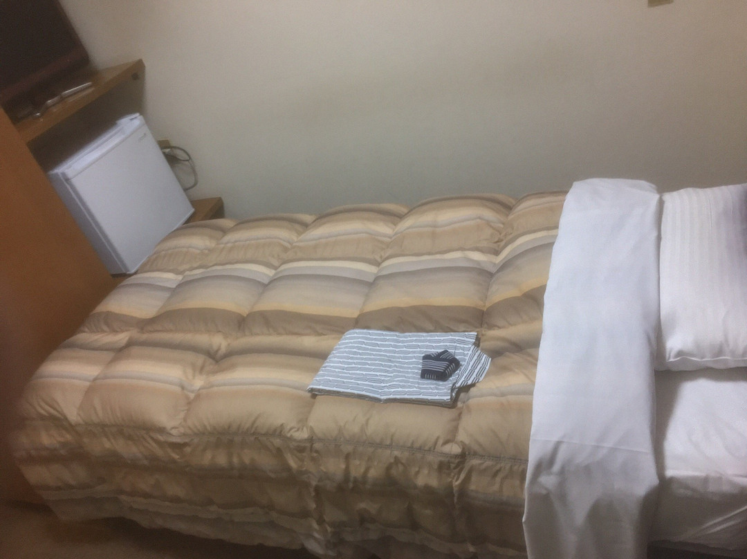 Business Hotel Hashira
