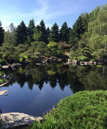 丹佛植物园景点门票图片