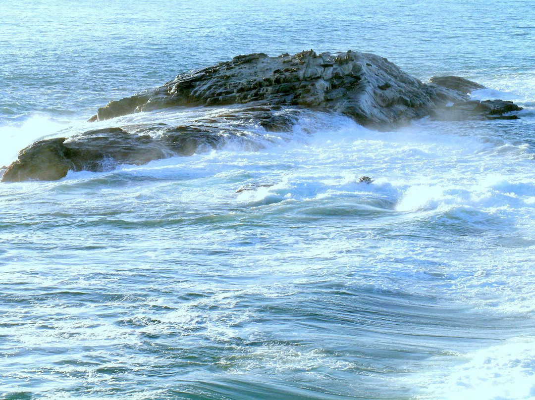 吕德里茨旅游景点-Dias Cross (1488)