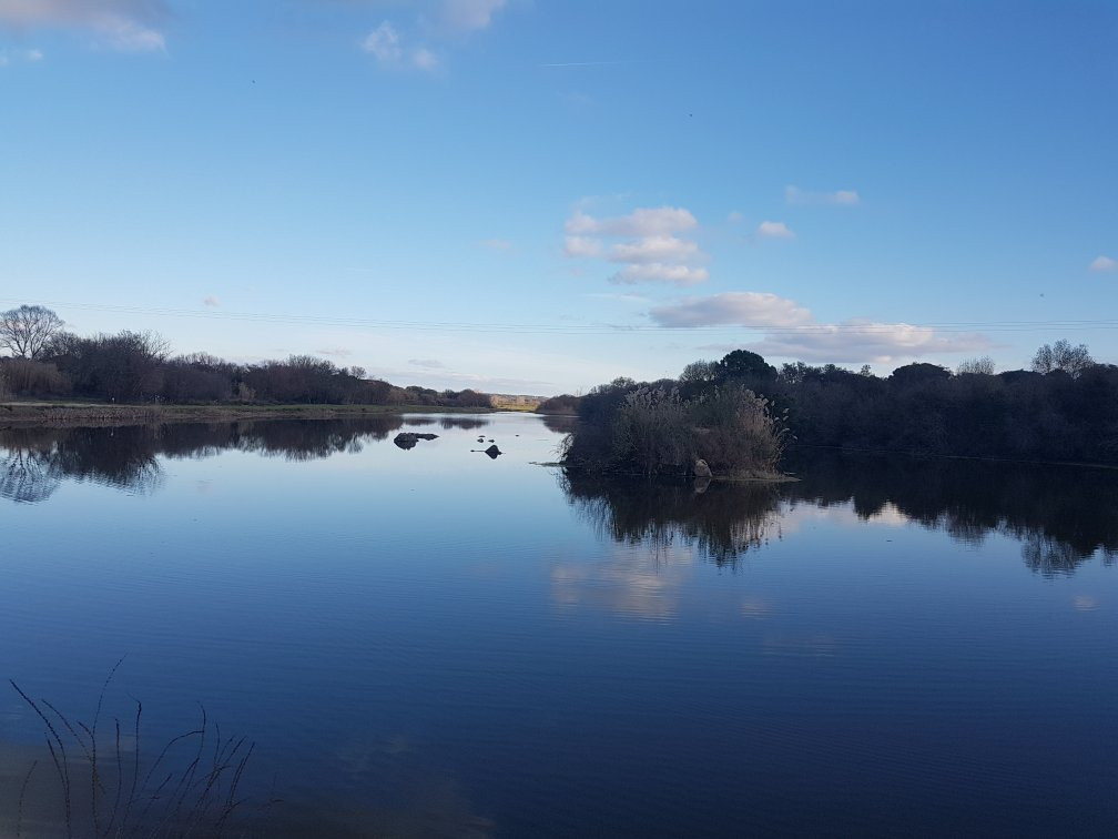 Pista Internacional de Pesca Desportiva de Mora景点图片