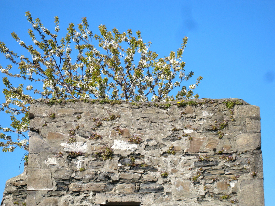 Irishtown Castle