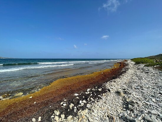 Limestone Beach景点图片