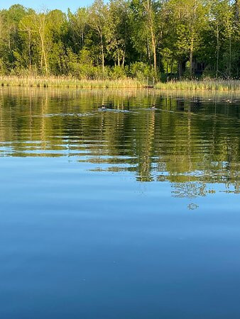 Paradise Resort主图