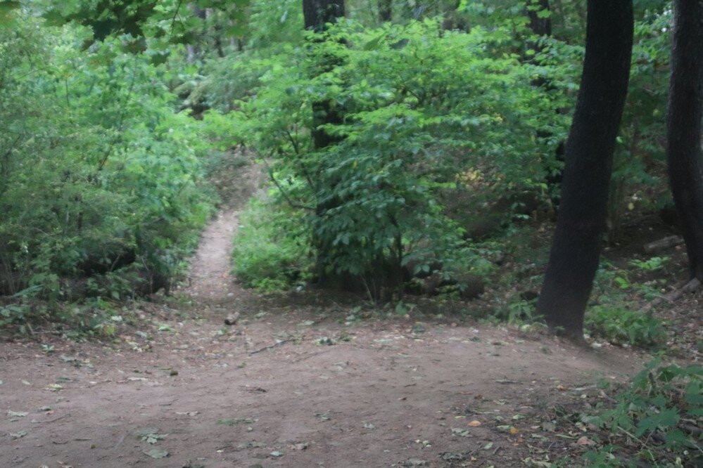 Steve Bauer Trails, Fonthill景点图片