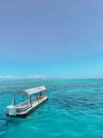 Cairns Premier Reef & Island Tours景点图片