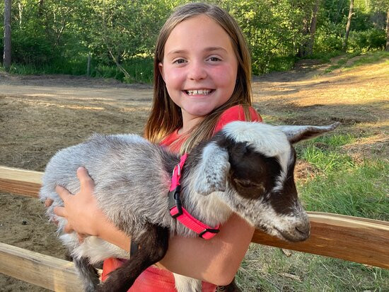 Summerhill Adventures-Park Rapids必去景点