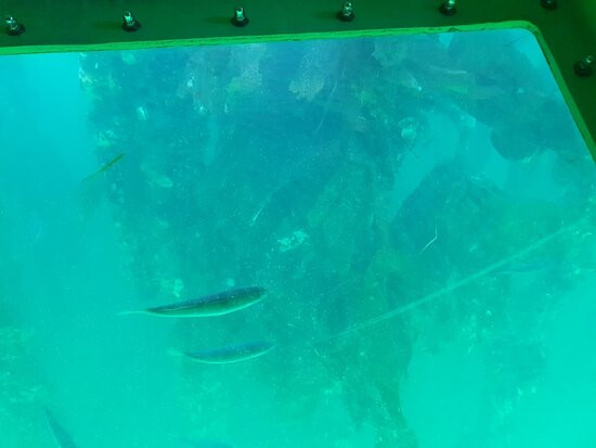 Cruceros de Arosa-格罗韦必去景点