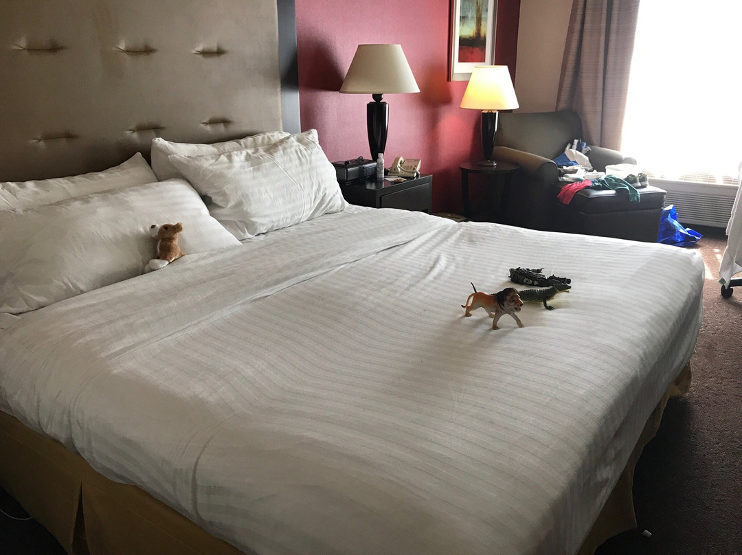 Alsea酒店住宿-Holiday Inn Express Corvallis-On The River by IHG