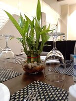 芭蕾舞女演员酒店主图