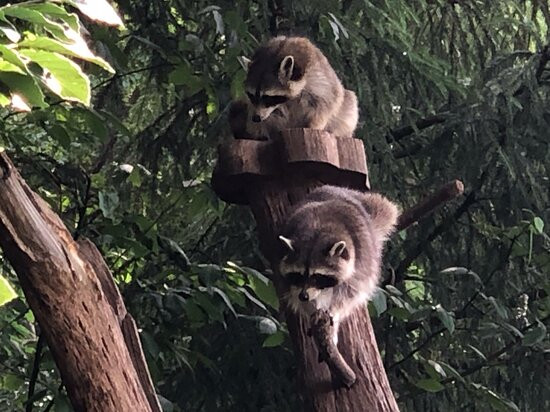 Tierpark Kunsterspring-Neuruppin必去景点