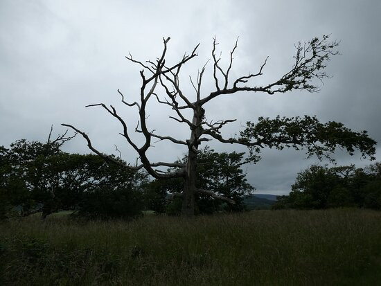 Mersehead Nature Reserve-Dalbeattie必去景点