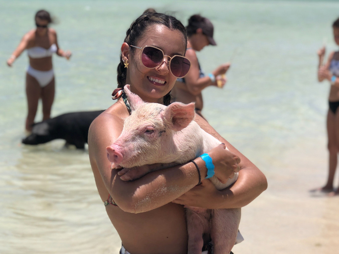 Da Pig Beach Nassau-拿骚必去景点