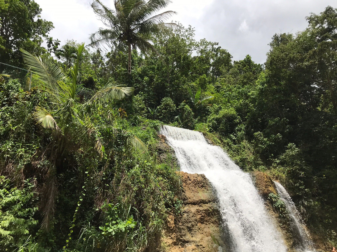 Rio Tanama-阿雷西沃必去景点