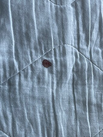 Homewood Suites By Hilton Charlottesville, Va主图