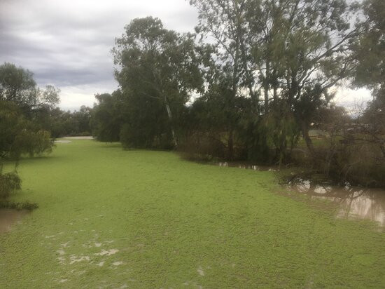 Myall Creek Parklands Walkway景点图片