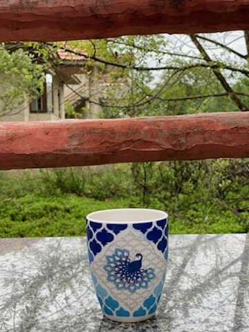 Tathastu Kanha-酒店景观