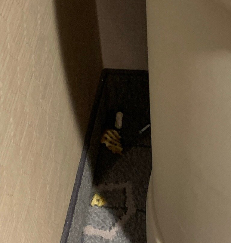 Courtyard by Marriott Philadelphia Great Valley/Malvern主图