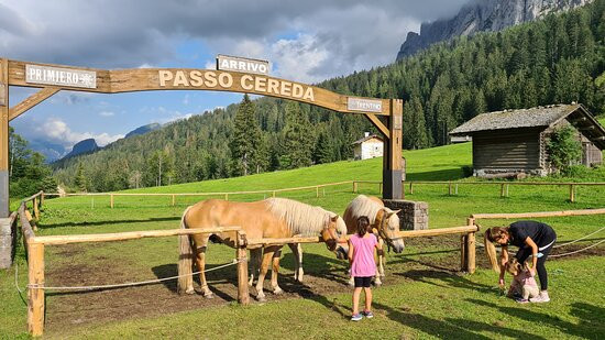 Passo Cereda