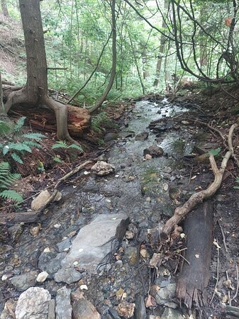 Retreat Trails-布拉特尔伯勒必去景点