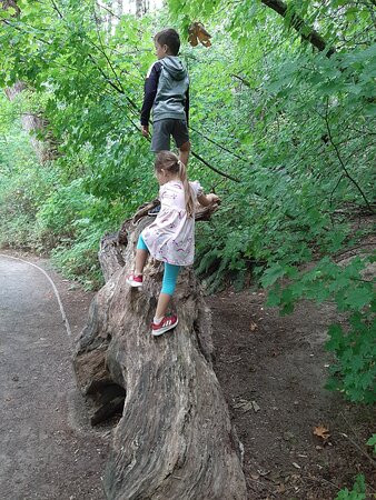 Campbell Valley Regional Park景点图片