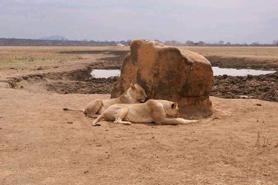 Kenya Watamu Safaris