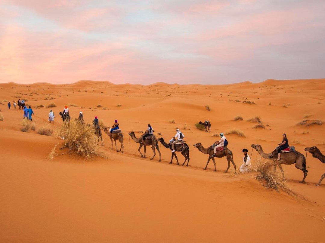 Morocco Trippers景点图片