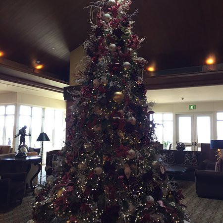 Spanish Bay Guest House主图