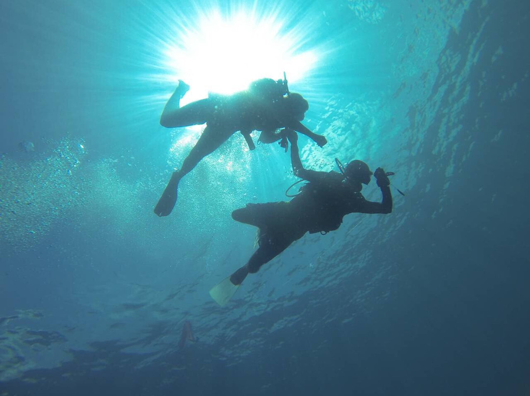 Fish Head Dives & Water Sports景点图片