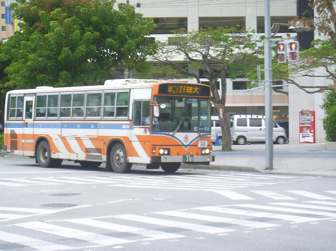 Ryukyu Bus Kotsu景点图片