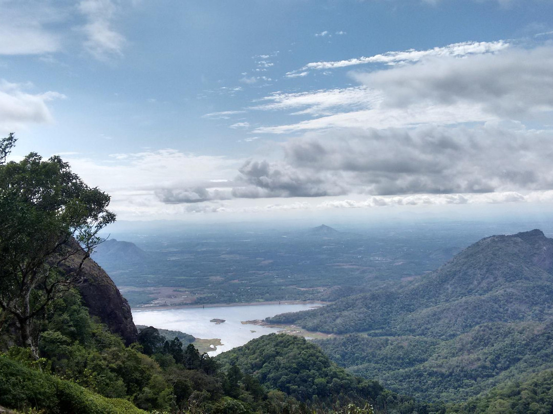 Nelliyampathy Hills景点图片