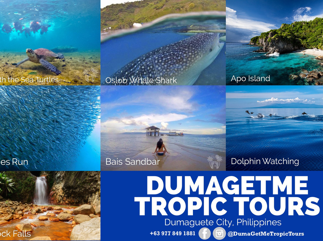 DumaGetMe Tropic Tours景点图片