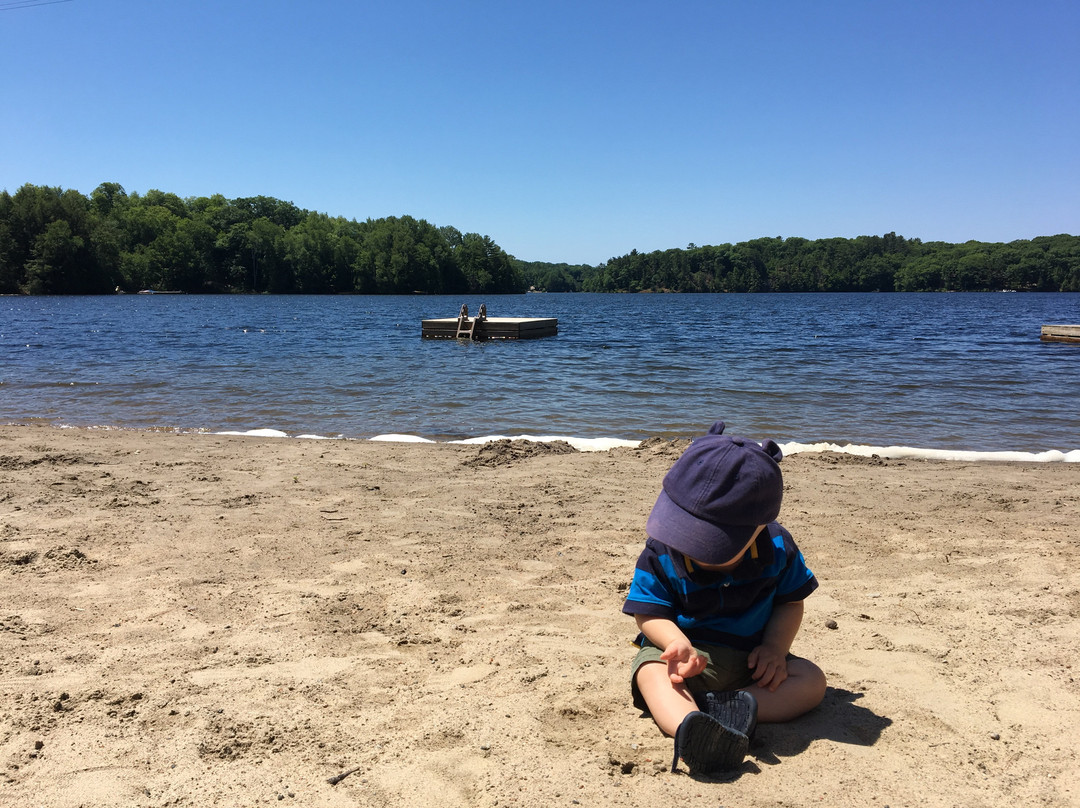 Foley Matheson Park and Beach景点图片