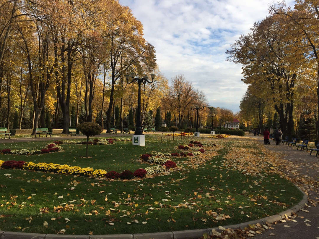 Parcul Copou景点图片