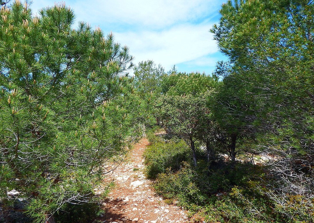 Teyran旅游攻略图片