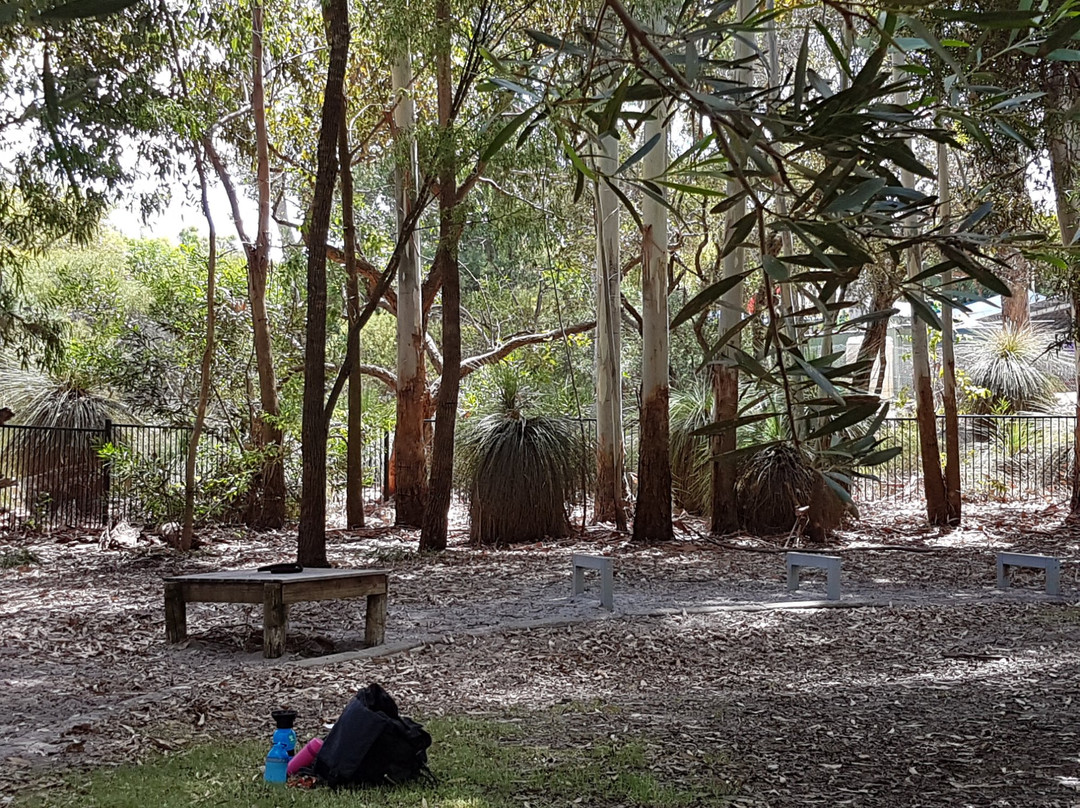 Yarra Vista Dog Park景点图片