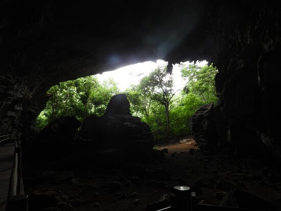 Parque Estadual da Lapa Grande景点图片