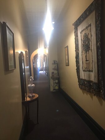 Bellbird Hotel-官方