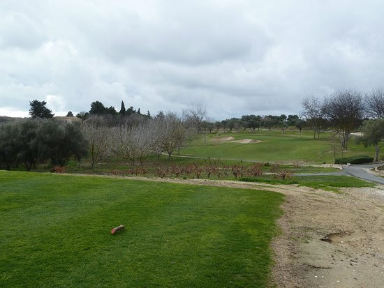 Minthis Golf Club景点图片