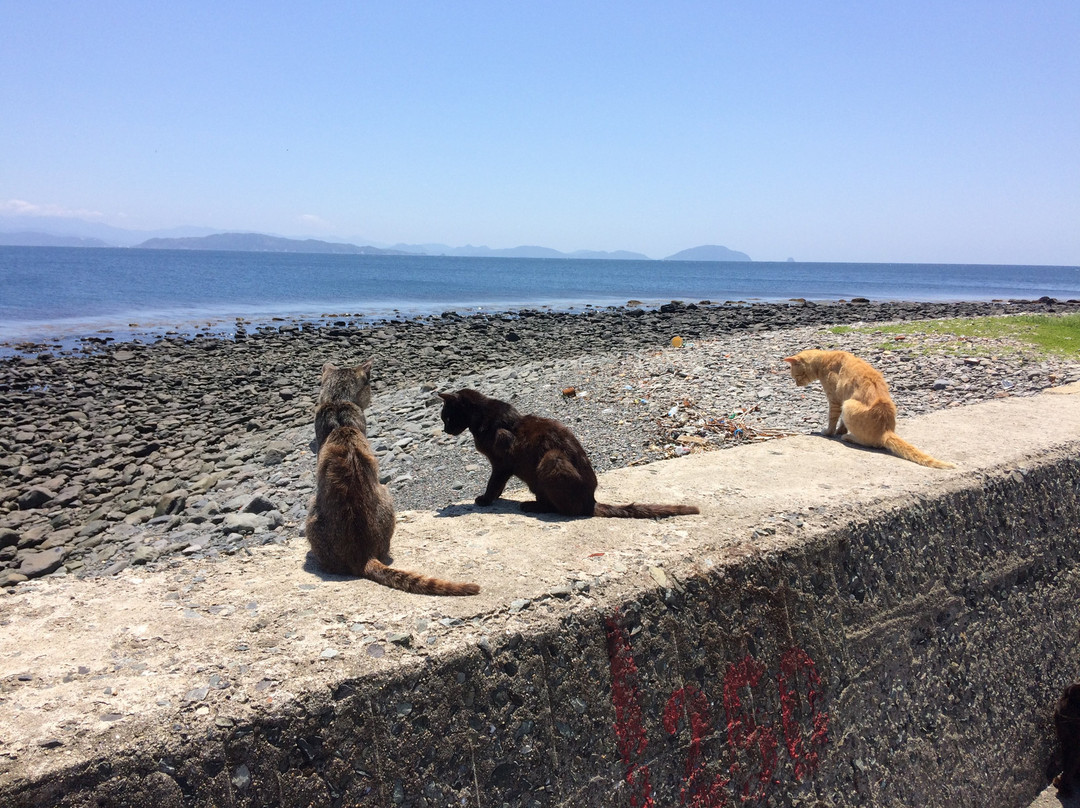 新宫町旅游攻略图片